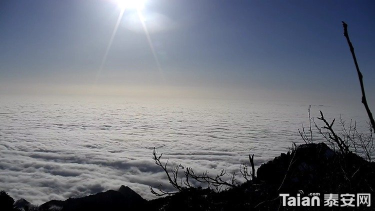 Screenshot_20200229-081143.jpg