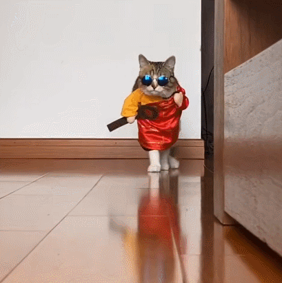 20200310_844987_1583816174376.gif