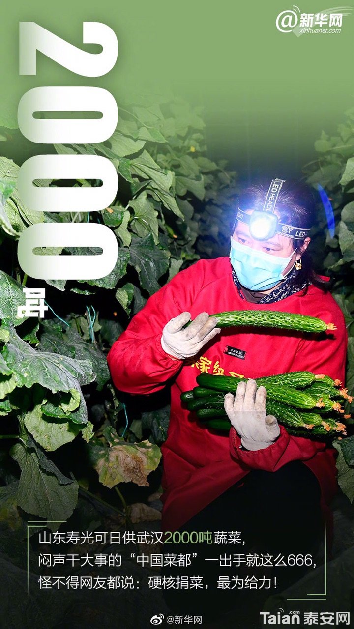 Fpd0jvmc_swtdixK7HKf95JCr-Ic.jpg