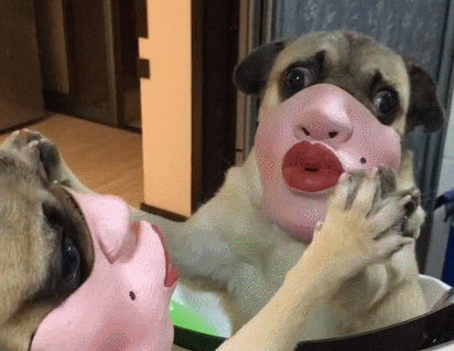 20200317_844987_1584411722985.gif