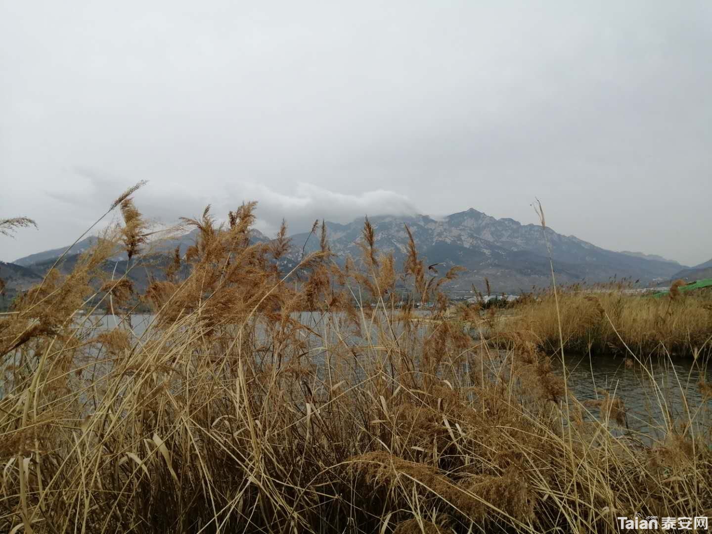 ΢��ͼƬ_20200331191531.jpg