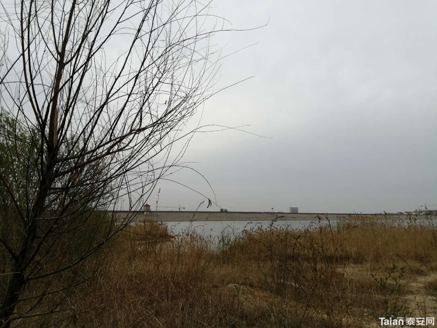 ΢��ͼƬ_20200331191621.jpg