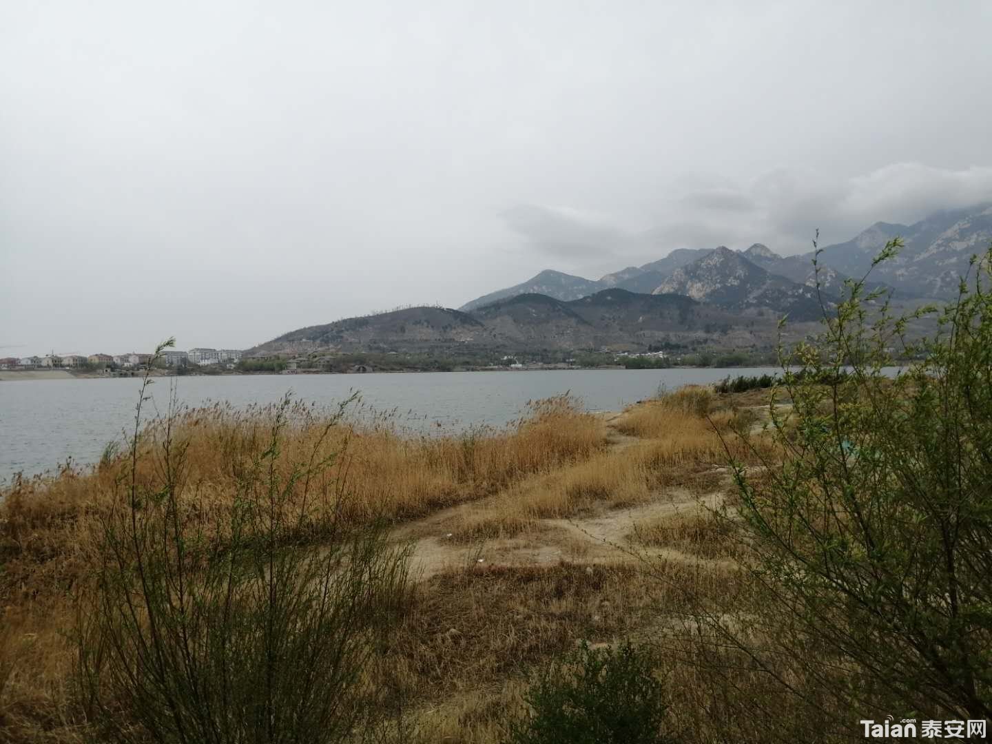 ΢��ͼƬ_20200331191635.jpg