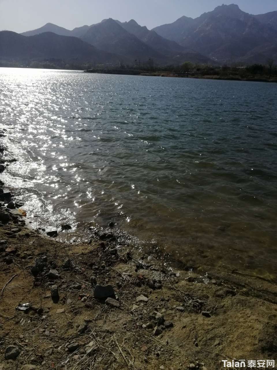 20200402_894566_1585814234175.jpg