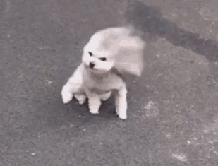 20200412_844987_1586696130348.gif