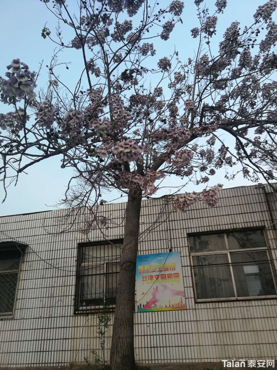 20200416_844987_1586986271960.jpg