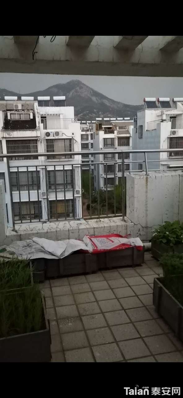 20200416_873967_1587015823679.jpg