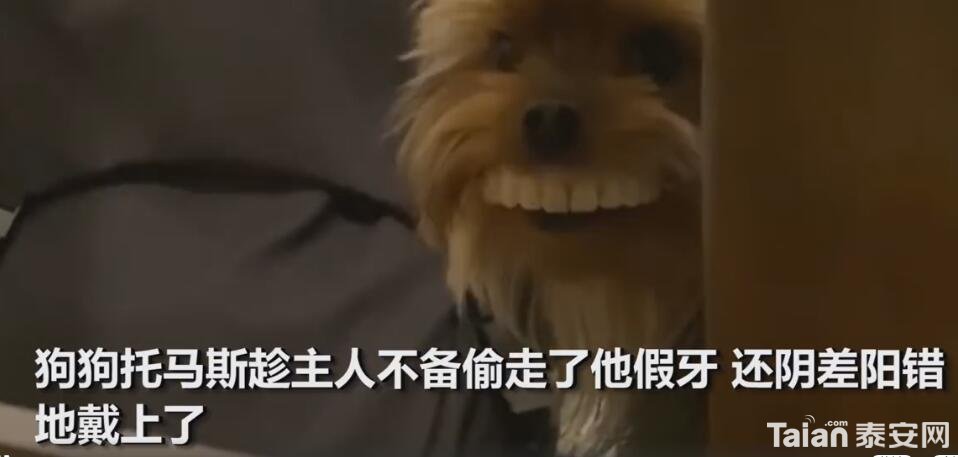 QQ��ͼ20200417140007.jpg