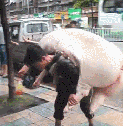 20200511_844987_1589171259041.gif