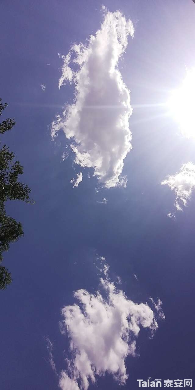 20200518_882454_1589769903546.jpg