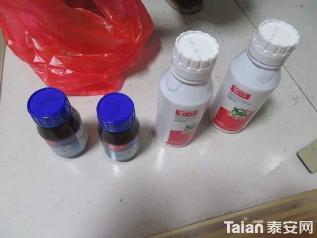 bdc262a756fb092c34ae21be7c60beb7.jpg