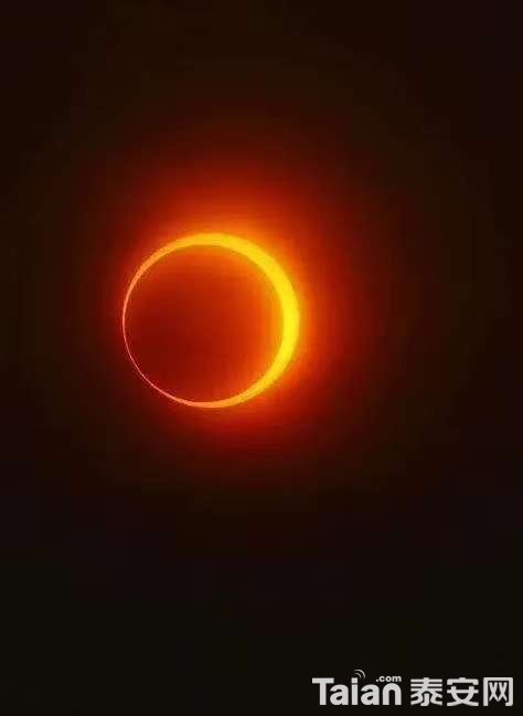 20200621_844987_1592696806285.jpg