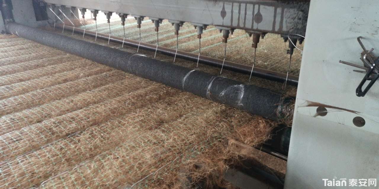 20200709_907413_1594263973082.jpg