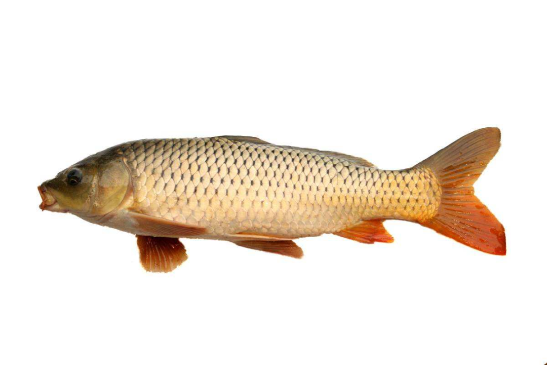 20200902_844987_1599055420273.png