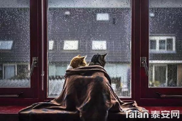 ΢��ͼƬ_20200925105616.jpg