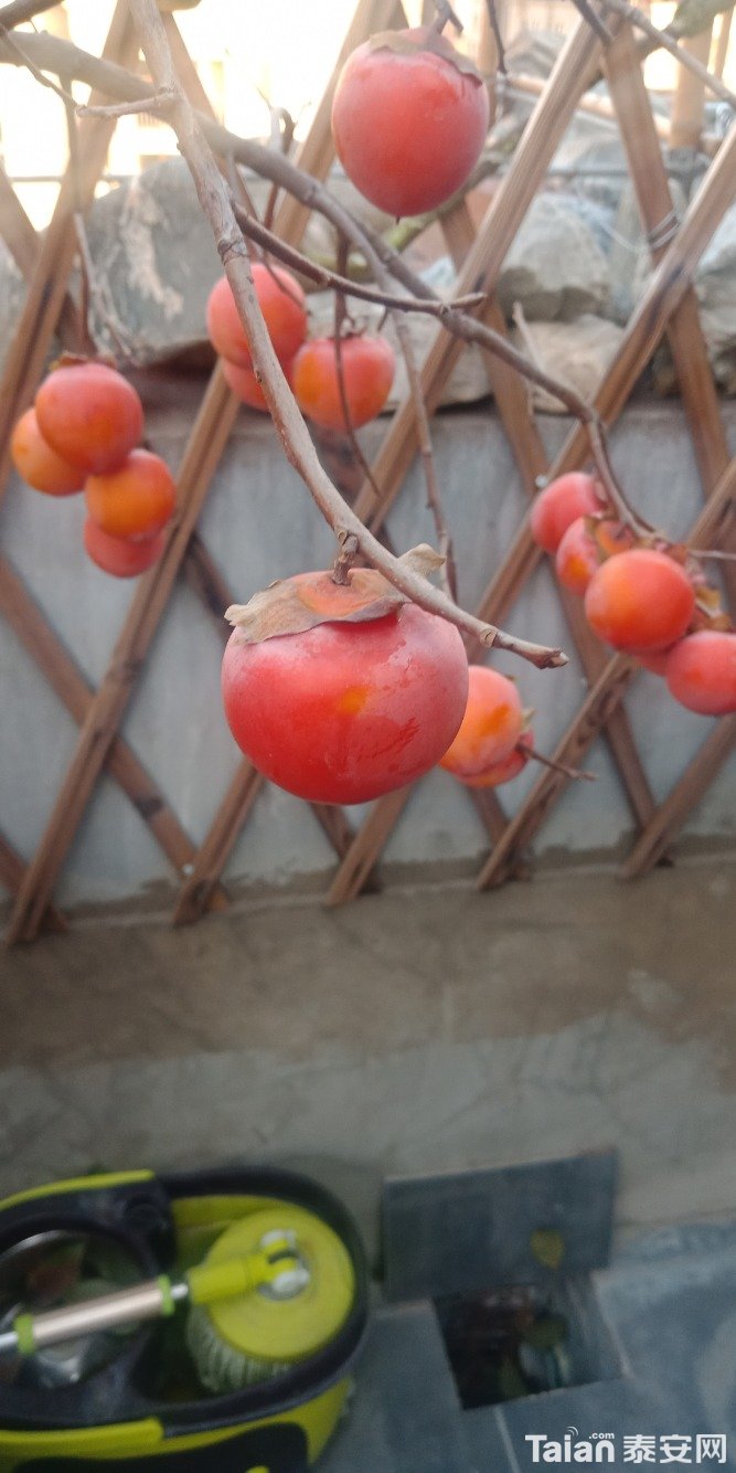 IMG20201107162917.jpg