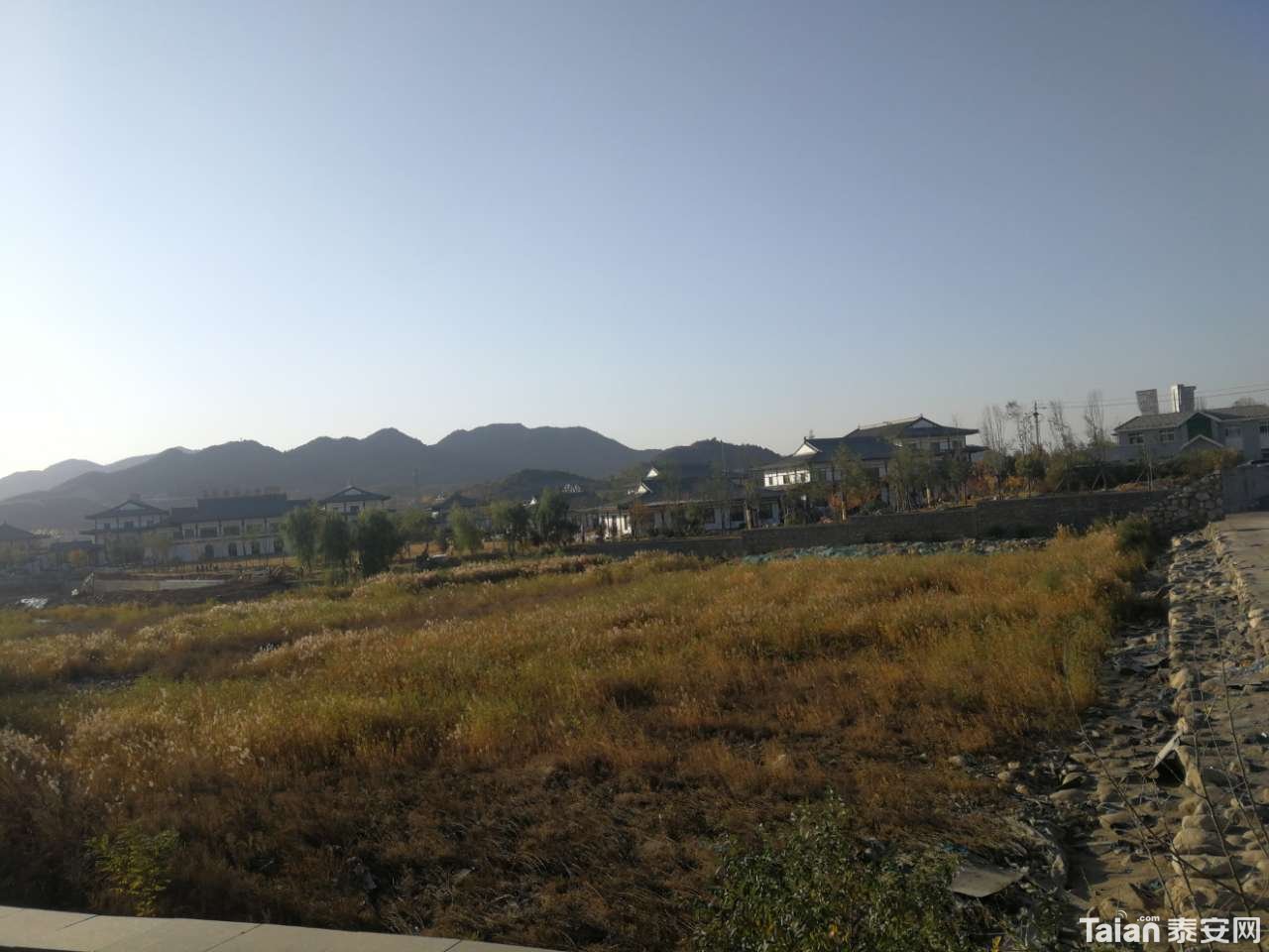 20201108_844987_1604820892758.jpg