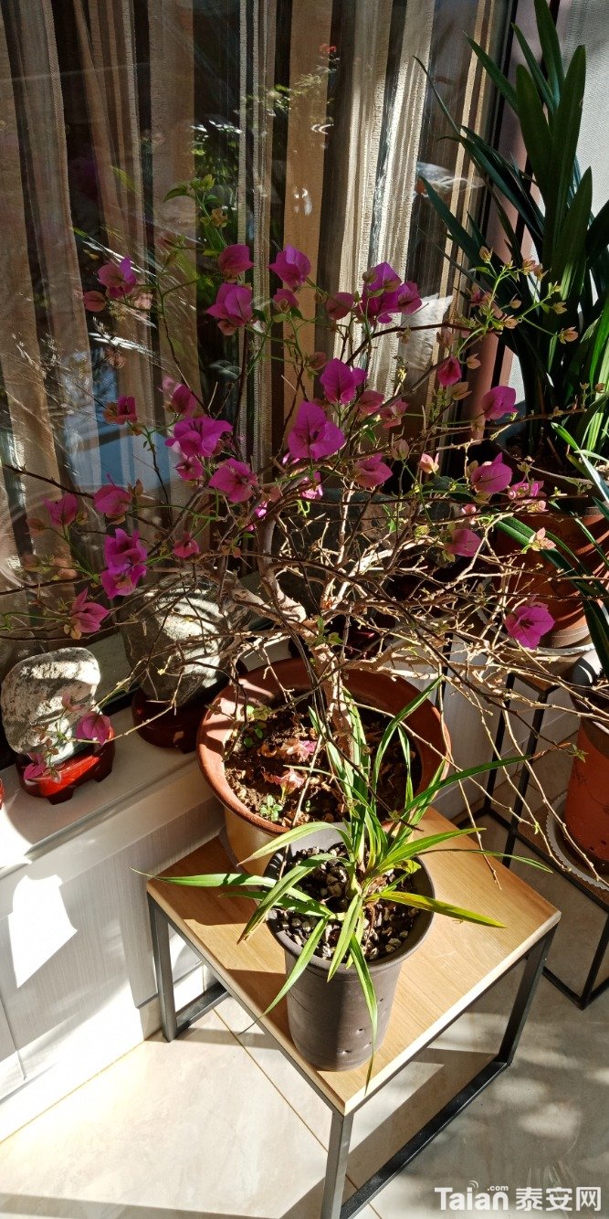 IMG20201214090710.jpg
