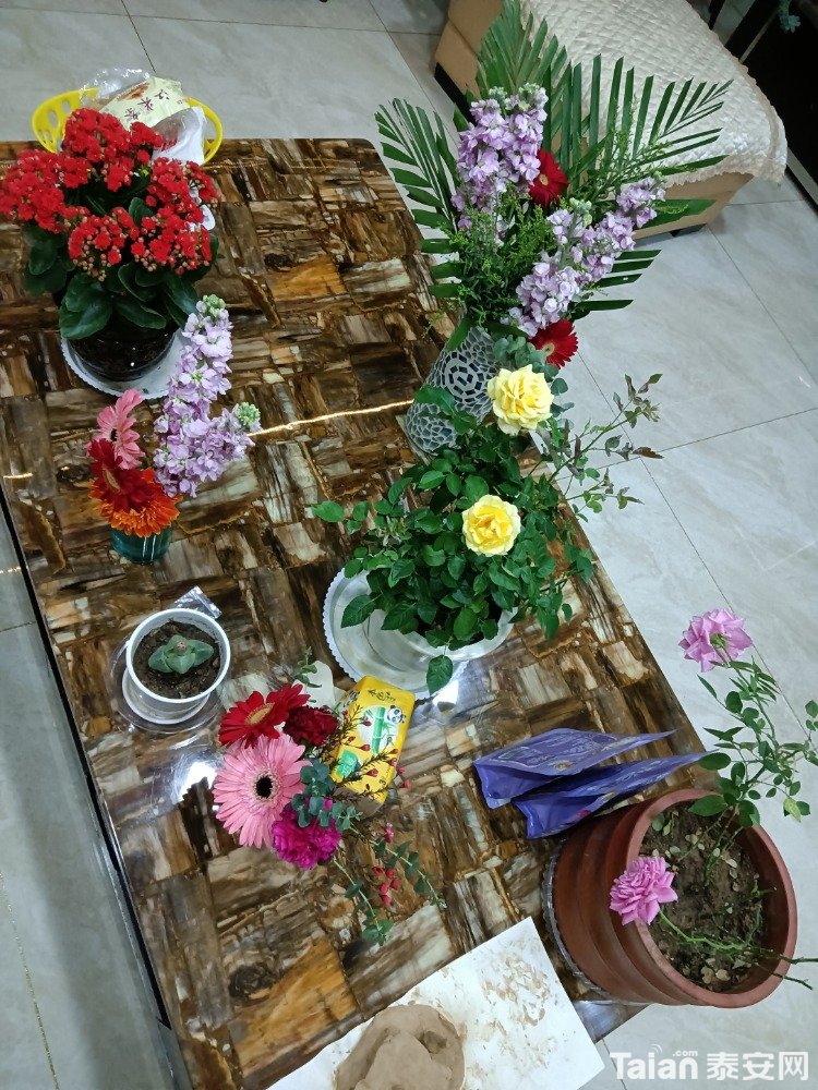 IMG20201228202830.jpg