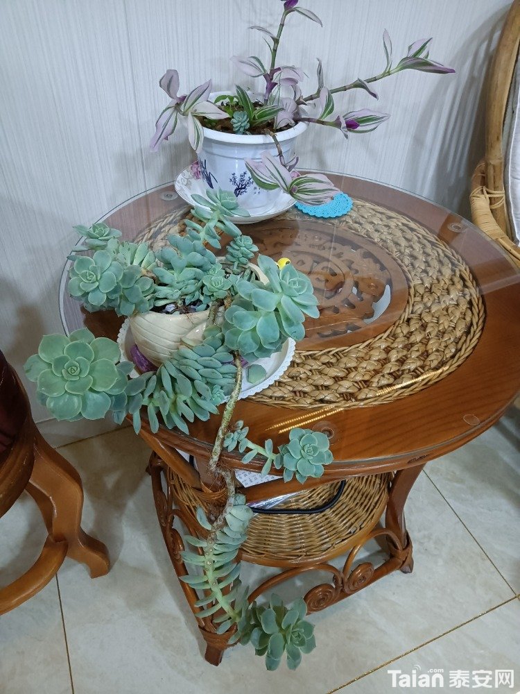 IMG20201228202804.jpg