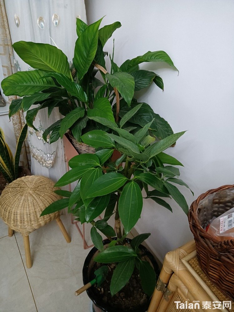 IMG20201228202904.jpg