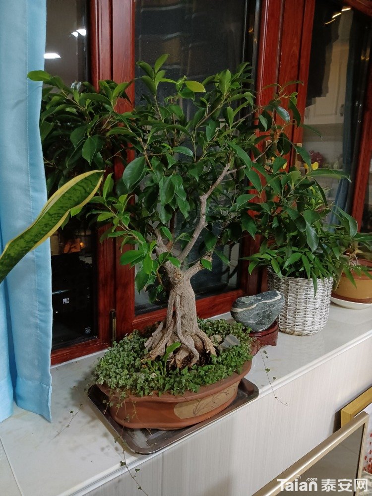 IMG20201228203027.jpg