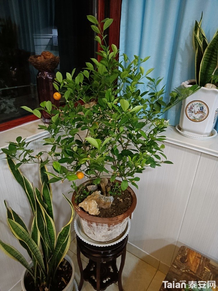 IMG20201228203048.jpg