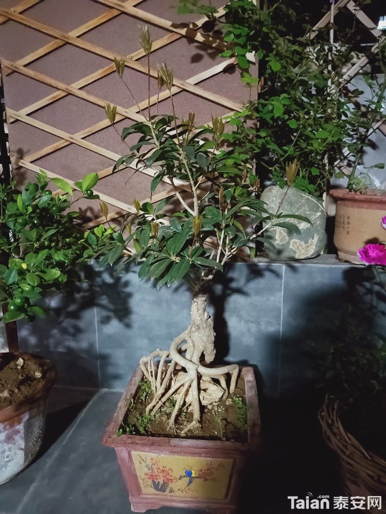 IMG20210330203746.jpg