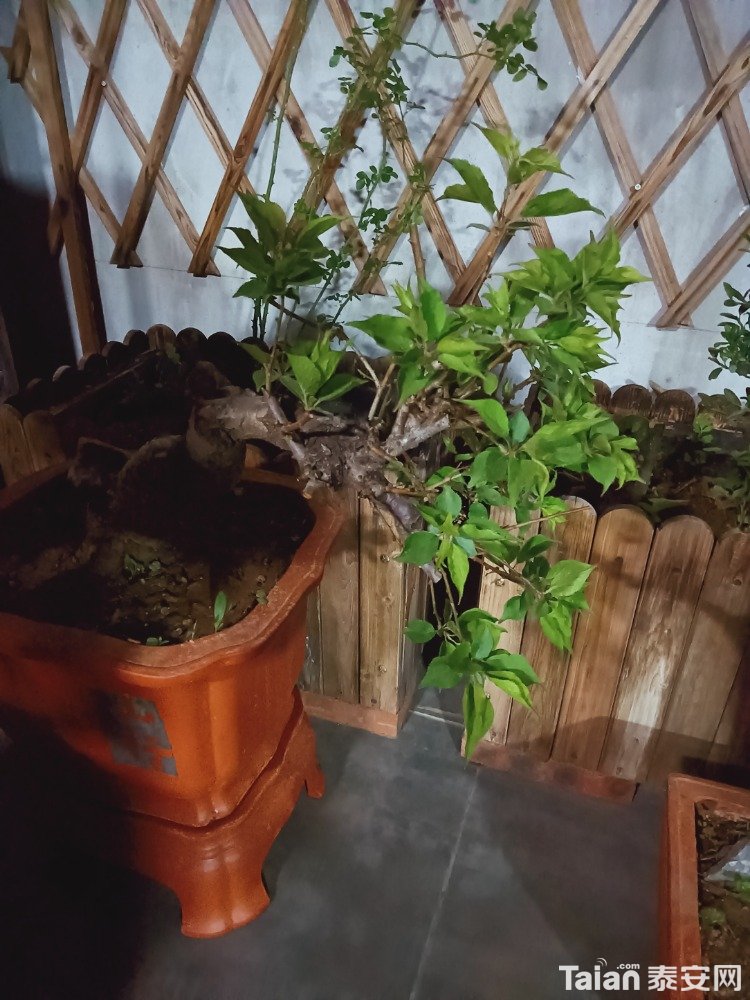 IMG20210330203931.jpg