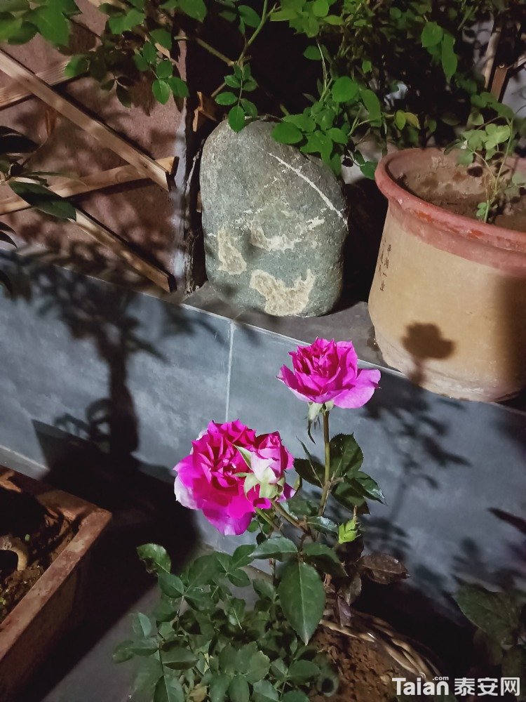 IMG20210330203756.jpg