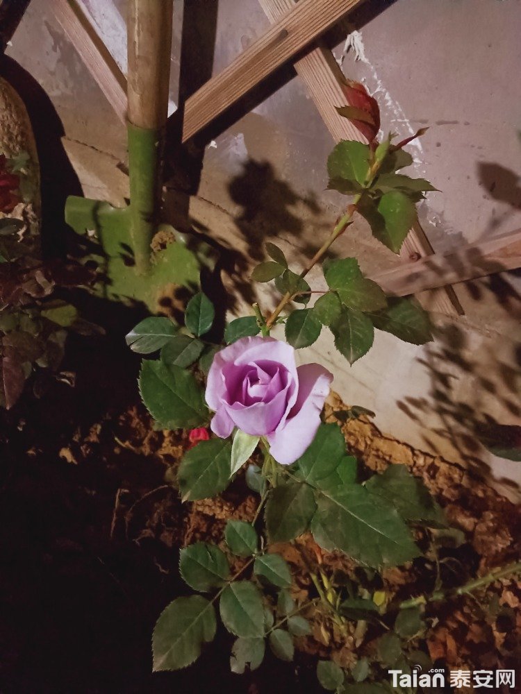 IMG20210330203814.jpg