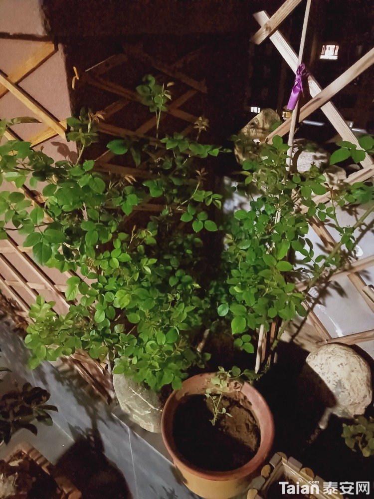IMG20210330203806.jpg