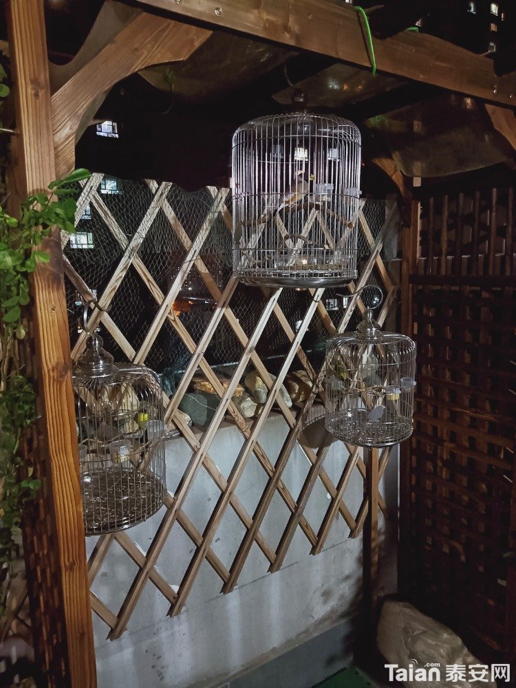 IMG20210330203906.jpg